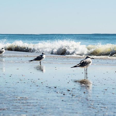 גולף שורז Direct Gulf Views With Deeded Beach Access מראה חיצוני תמונה